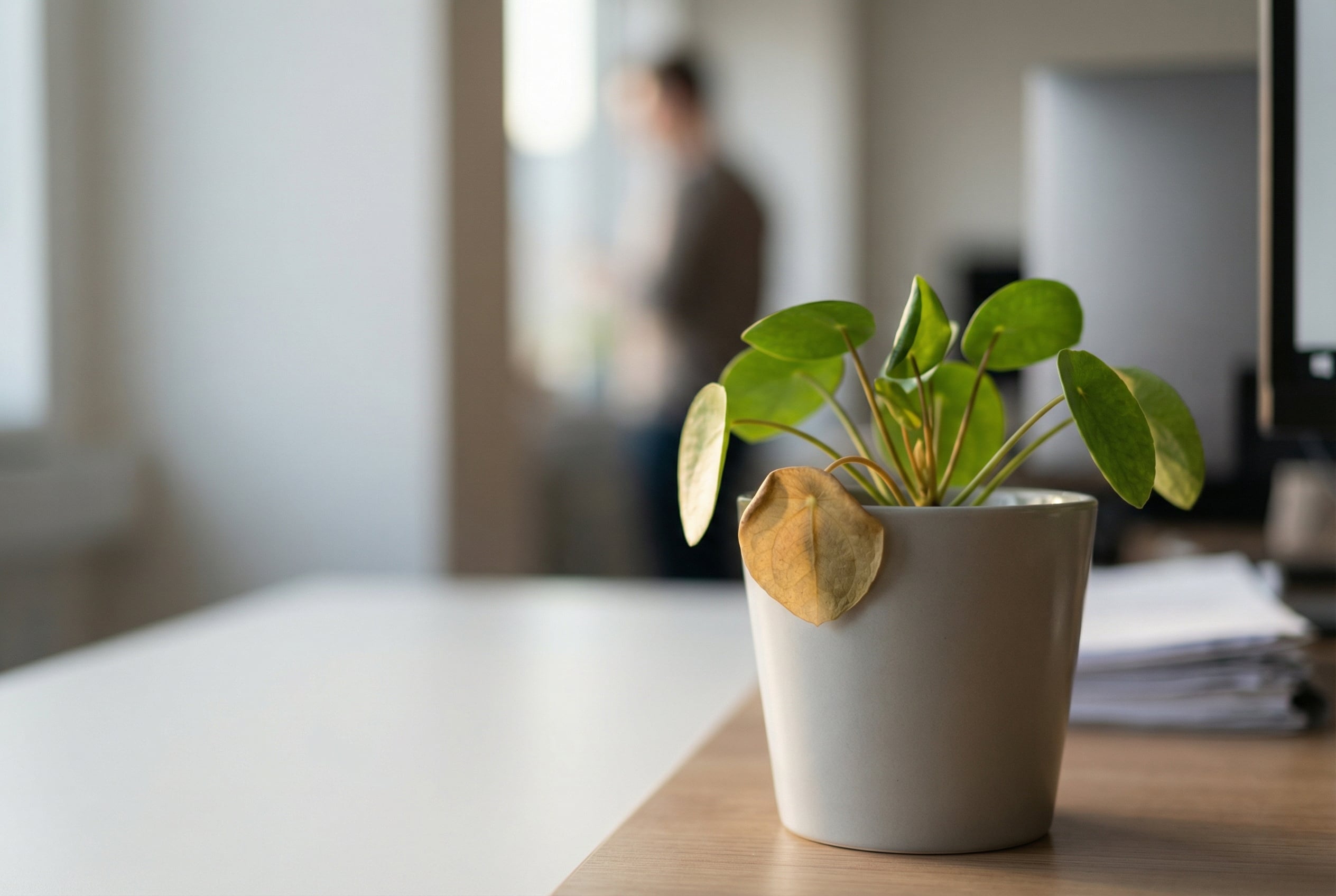 Resilienz und psychische Instabilität im Arbeitskontext erkennen – eine besondere Führungsaufgabe