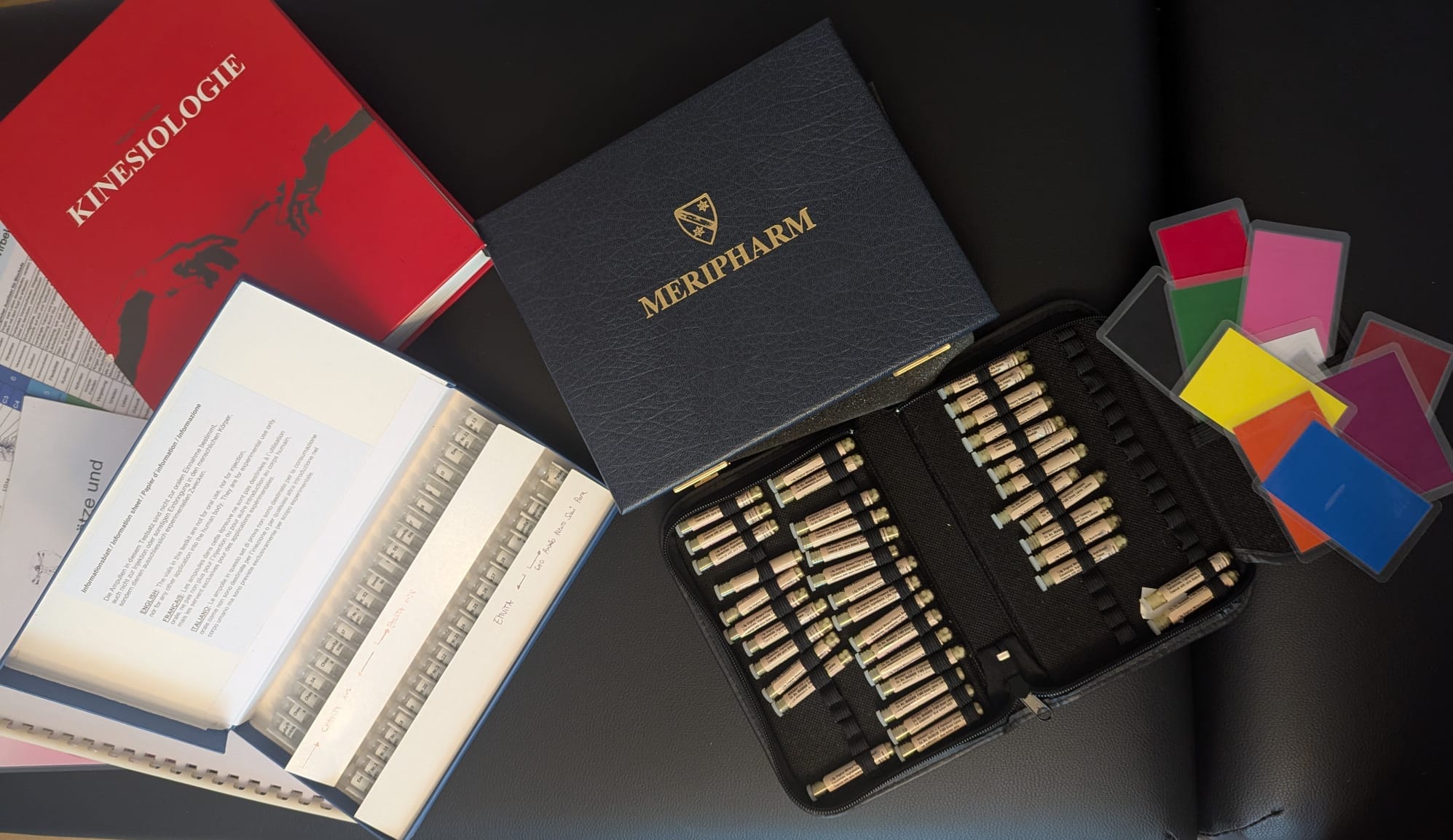 Energetische Diagnostik - Ganzheitliche Analyse